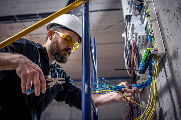 Best Ceiling Fan Installation Electrician  in Alamo, NV